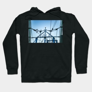 Boat tailed grackle in boat rigging Hoodie